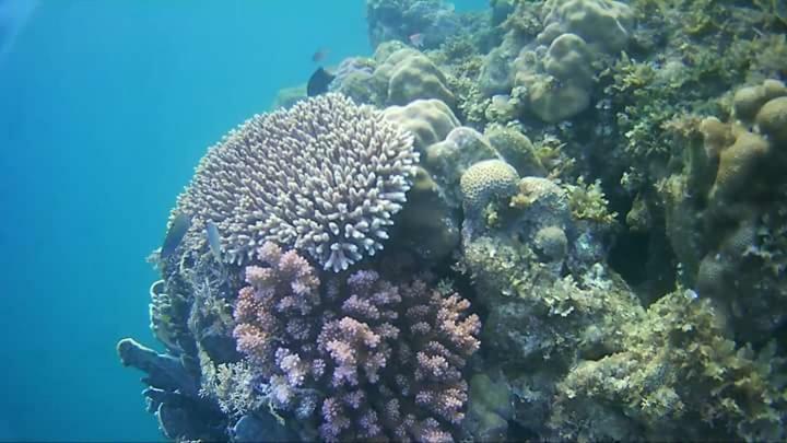 Coco Cabana Romblon Agpanabat エクステリア 写真